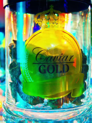 Filename=cap_002203.jpg
Filesize=219KiB
Dimensions=1920x1088
Date added=Nov 14, 2025 cap_002203.jpg