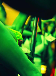 Filename=cap_002238.jpg
Filesize=112KiB
Dimensions=1920x1088
Date added=Nov 14, 2025 cap_002238.jpg