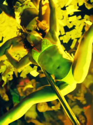 Filename=cap_002305.jpg
Filesize=175KiB
Dimensions=1920x1088
Date added=Nov 14, 2025 cap_002305.jpg