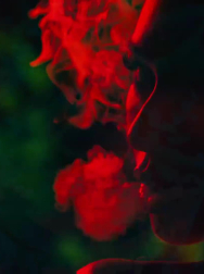 Filename=cap_002666.jpg
Filesize=57KiB
Dimensions=1920x1088
Date added=Nov 14, 2025 cap_002666.jpg