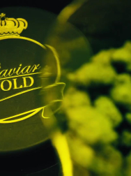 Filename=cap_002700.jpg
Filesize=103KiB
Dimensions=1920x1088
Date added=Nov 14, 2025 cap_002700.jpg