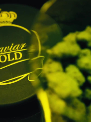 Filename=cap_002701.jpg
Filesize=108KiB
Dimensions=1920x1088
Date added=Nov 14, 2025 cap_002701.jpg