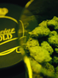 Filename=cap_002703.jpg
Filesize=121KiB
Dimensions=1920x1088
Date added=Nov 14, 2025 cap_002703.jpg