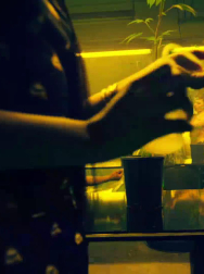 Filename=cap_002774.jpg
Filesize=92KiB
Dimensions=1920x1088
Date added=Nov 14, 2025 cap_002774.jpg