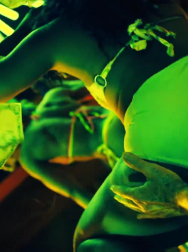 Filename=cap_002960.jpg
Filesize=131KiB
Dimensions=1920x1088
Date added=Nov 14, 2025 cap_002960.jpg