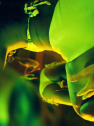 Filename=cap_002963.jpg
Filesize=146KiB
Dimensions=1920x1088
Date added=Nov 14, 2025 cap_002963.jpg