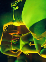 Filename=cap_002964.jpg
Filesize=155KiB
Dimensions=1920x1088
Date added=Nov 14, 2025 cap_002964.jpg