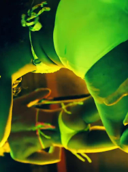 Filename=cap_002965.jpg
Filesize=150KiB
Dimensions=1920x1088
Date added=Nov 14, 2025 cap_002965.jpg