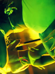 Filename=cap_002966.jpg
Filesize=149KiB
Dimensions=1920x1088
Date added=Nov 14, 2025 cap_002966.jpg