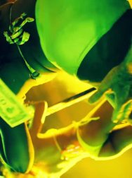 Filename=cap_002967.jpg
Filesize=148KiB
Dimensions=1920x1088
Date added=Nov 14, 2025 cap_002967.jpg