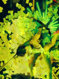 Filename=cap_003019.jpg
Filesize=208KiB
Dimensions=1920x1088
Date added=Nov 14, 2025 cap_003019.jpg