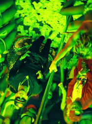 Filename=cap_003056.jpg
Filesize=208KiB
Dimensions=1920x1088
Date added=Nov 14, 2025 cap_003056.jpg