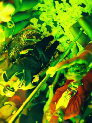 Filename=cap_003057.jpg
Filesize=234KiB
Dimensions=1920x1088
Date added=Nov 14, 2025 cap_003057.jpg