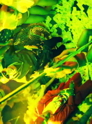 Filename=cap_003058.jpg
Filesize=238KiB
Dimensions=1920x1088
Date added=Nov 14, 2025 cap_003058.jpg