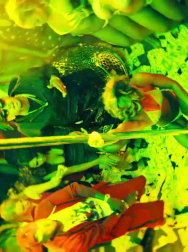 Filename=cap_003059.jpg
Filesize=215KiB
Dimensions=1920x1088
Date added=Nov 14, 2025 cap_003059.jpg