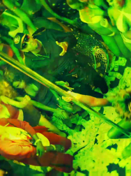 Filename=cap_003061.jpg
Filesize=210KiB
Dimensions=1920x1088
Date added=Nov 14, 2025 cap_003061.jpg