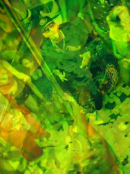 Filename=cap_003063.jpg
Filesize=163KiB
Dimensions=1920x1088
Date added=Nov 14, 2025 cap_003063.jpg