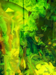 Filename=cap_003065.jpg
Filesize=163KiB
Dimensions=1920x1088
Date added=Nov 14, 2025 cap_003065.jpg