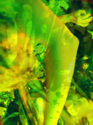 Filename=cap_003066.jpg
Filesize=163KiB
Dimensions=1920x1088
Date added=Nov 14, 2025 cap_003066.jpg