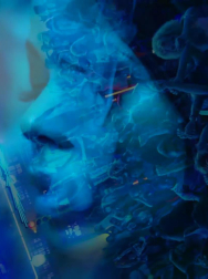 Filename=cap_003168.jpg
Filesize=97KiB
Dimensions=1920x1088
Date added=Nov 14, 2025 cap_003168.jpg