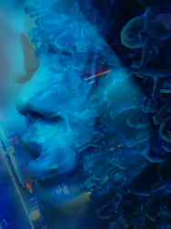 Filename=cap_003169.jpg
Filesize=95KiB
Dimensions=1920x1088
Date added=Nov 14, 2025 cap_003169.jpg