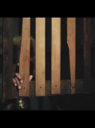 Filename=cap_000039.jpg
Filesize=265KiB
Dimensions=1920x1080
Date added=Nov 14, 2025 cap_000039.jpg