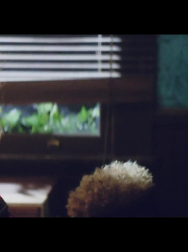 Filename=cap_000967.jpg
Filesize=317KiB
Dimensions=1920x1080
Date added=Nov 14, 2025 cap_000967.jpg