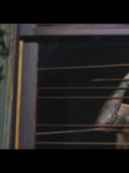 Filename=cap_001044.jpg
Filesize=355KiB
Dimensions=1920x1080
Date added=Nov 14, 2025 cap_001044.jpg