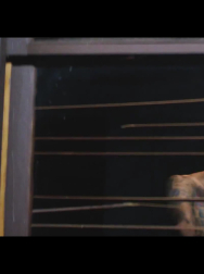 Filename=cap_001045.jpg
Filesize=325KiB
Dimensions=1920x1080
Date added=Nov 14, 2025 cap_001045.jpg