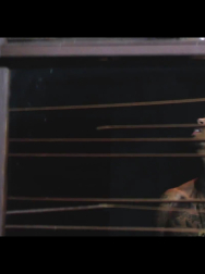 Filename=cap_001047.jpg
Filesize=314KiB
Dimensions=1920x1080
Date added=Nov 14, 2025 cap_001047.jpg