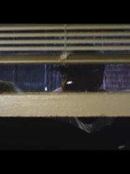 Filename=cap_001324.jpg
Filesize=465KiB
Dimensions=1920x1080
Date added=Nov 14, 2025 cap_001324.jpg