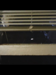 Filename=cap_001327.jpg
Filesize=423KiB
Dimensions=1920x1080
Date added=Nov 14, 2025 cap_001327.jpg