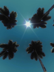 Filename=cap_000004.jpg
Filesize=114KiB
Dimensions=1920x1088
Date added=Nov 14, 2025 cap_000004.jpg