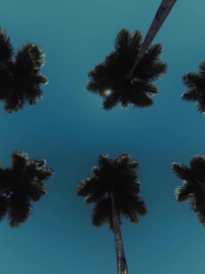 Filename=cap_000006.jpg
Filesize=114KiB
Dimensions=1920x1088
Date added=Nov 14, 2025 cap_000006.jpg