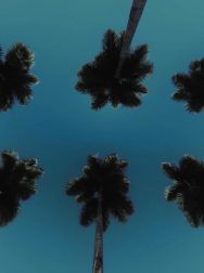 Filename=cap_000007.jpg
Filesize=114KiB
Dimensions=1920x1088
Date added=Nov 14, 2025 cap_000007.jpg