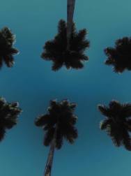 Filename=cap_000008.jpg
Filesize=112KiB
Dimensions=1920x1088
Date added=Nov 14, 2025 cap_000008.jpg