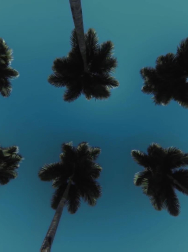 Filename=cap_000009.jpg
Filesize=114KiB
Dimensions=1920x1088
Date added=Nov 14, 2025 cap_000009.jpg