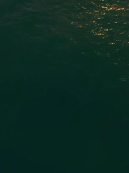 Filename=cap_000078.jpg
Filesize=58KiB
Dimensions=1920x1088
Date added=Nov 14, 2025 cap_000078.jpg