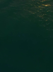 Filename=cap_000079.jpg
Filesize=57KiB
Dimensions=1920x1088
Date added=Nov 14, 2025 cap_000079.jpg