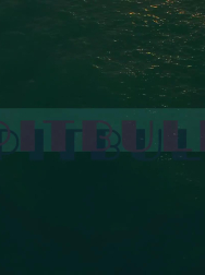 Filename=cap_000081.jpg
Filesize=57KiB
Dimensions=1920x1088
Date added=Nov 14, 2025 cap_000081.jpg