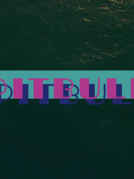 Filename=cap_000082.jpg
Filesize=63KiB
Dimensions=1920x1088
Date added=Nov 14, 2025 cap_000082.jpg