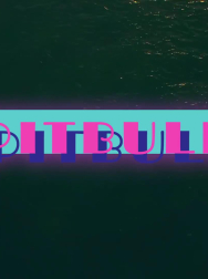 Filename=cap_000085.jpg
Filesize=63KiB
Dimensions=1920x1088
Date added=Nov 14, 2025 cap_000085.jpg