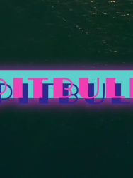 Filename=cap_000086.jpg
Filesize=61KiB
Dimensions=1920x1088
Date added=Nov 14, 2025 cap_000086.jpg