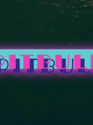 Filename=cap_000087.jpg
Filesize=62KiB
Dimensions=1920x1088
Date added=Nov 14, 2025 cap_000087.jpg