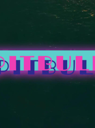 Filename=cap_000088.jpg
Filesize=61KiB
Dimensions=1920x1088
Date added=Nov 14, 2025 cap_000088.jpg