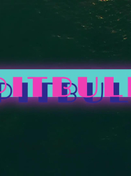 Filename=cap_000089.jpg
Filesize=61KiB
Dimensions=1920x1088
Date added=Nov 14, 2025 cap_000089.jpg