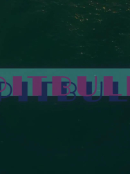 Filename=cap_000092.jpg
Filesize=51KiB
Dimensions=1920x1088
Date added=Nov 14, 2025 cap_000092.jpg