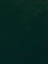 Filename=cap_000093.jpg
Filesize=39KiB
Dimensions=1920x1088
Date added=Nov 14, 2025 cap_000093.jpg