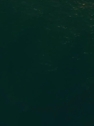 Filename=cap_000094.jpg
Filesize=40KiB
Dimensions=1920x1088
Date added=Nov 14, 2025 cap_000094.jpg