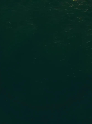 Filename=cap_000095.jpg
Filesize=40KiB
Dimensions=1920x1088
Date added=Nov 14, 2025 cap_000095.jpg